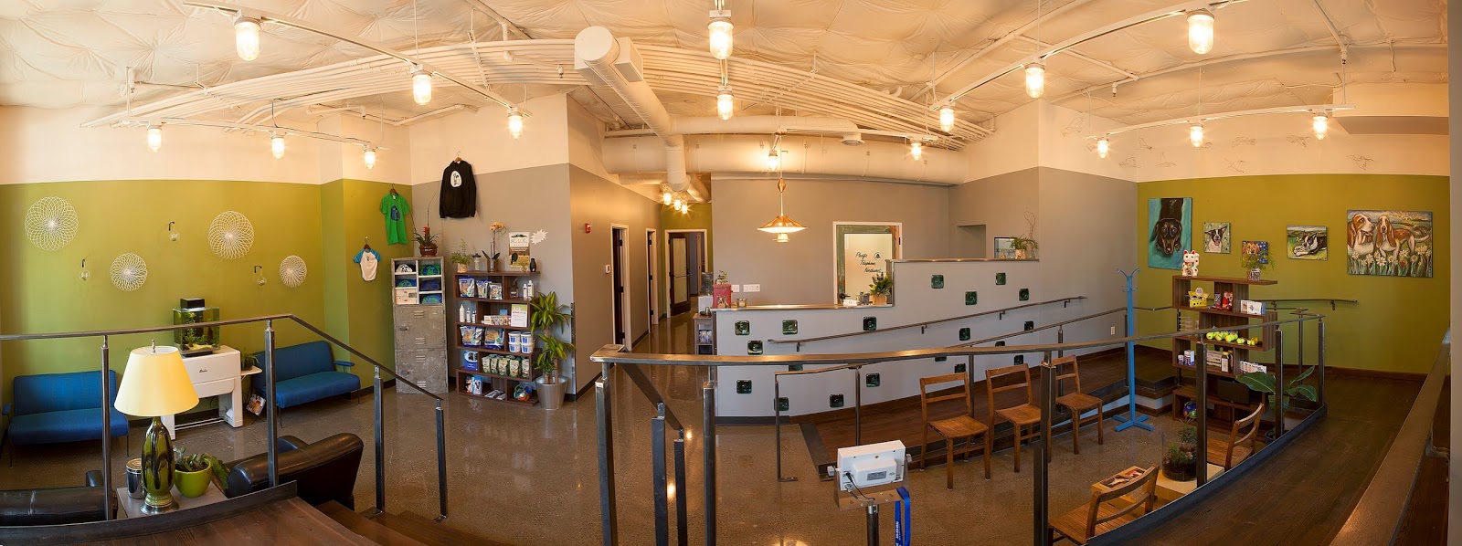 Jet City Animal Clinic