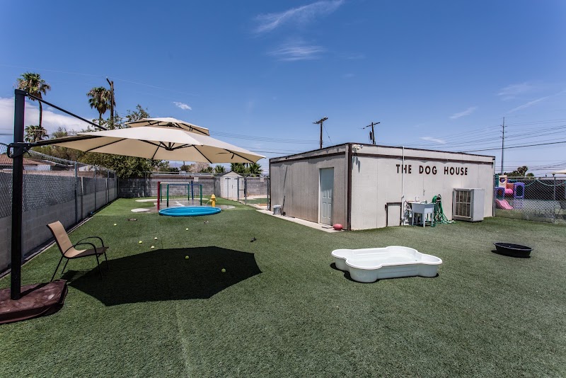 Just Like Home Doggie Hotel and Grooming photo 2