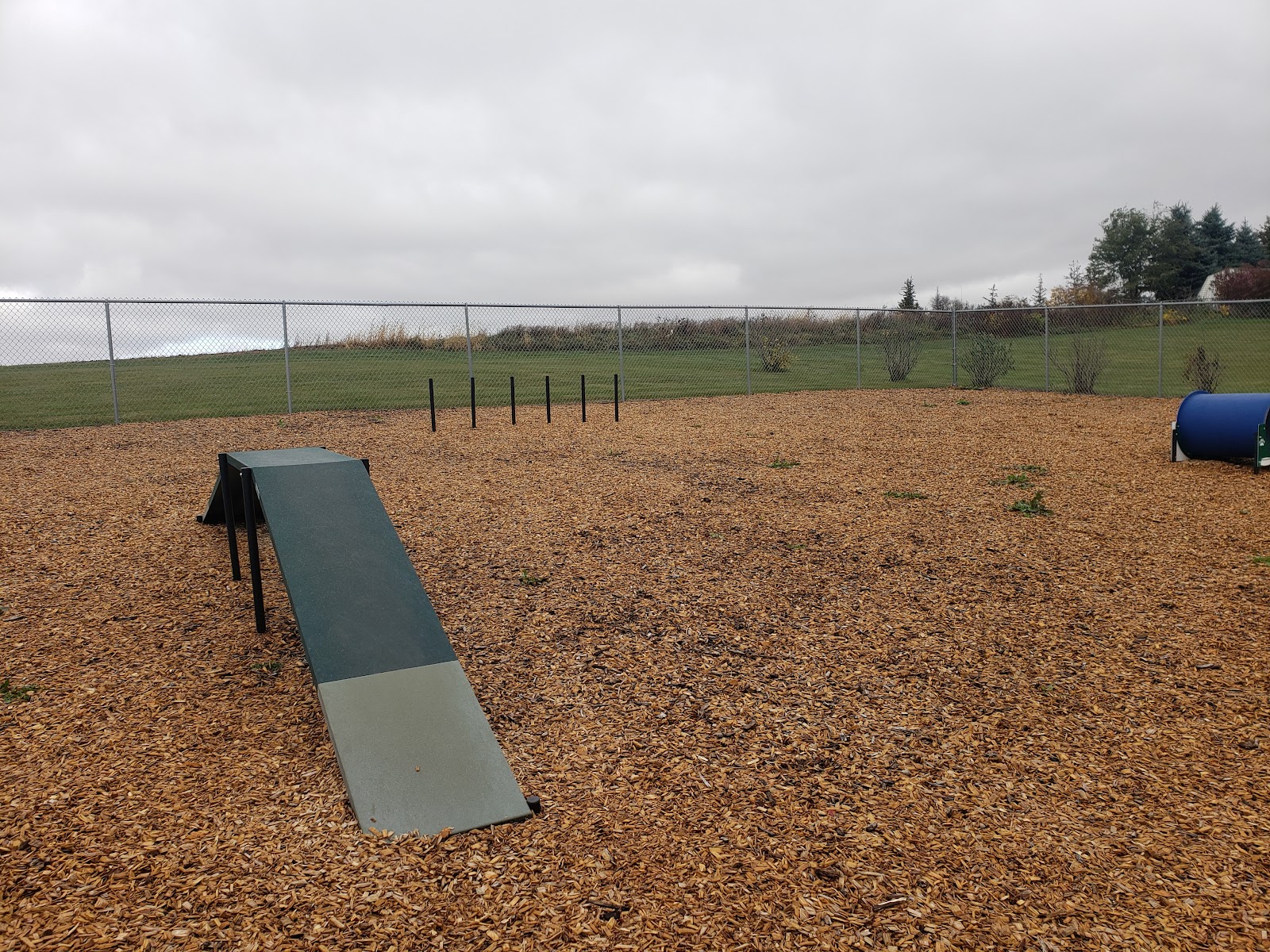 K-M Dog Park