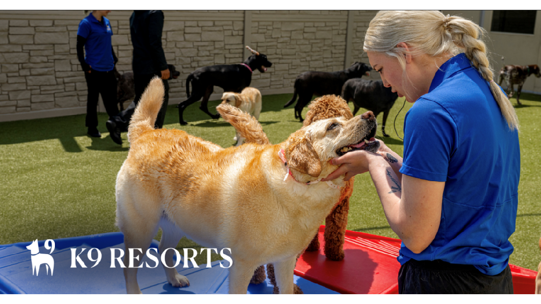 K9 Resorts Luxury Pet Hotel Los Angeles