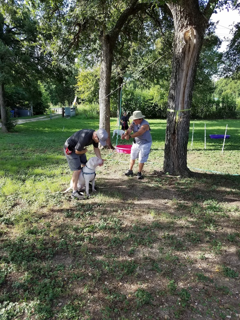K9 Workingmind, Training by Tara LLC photo 3