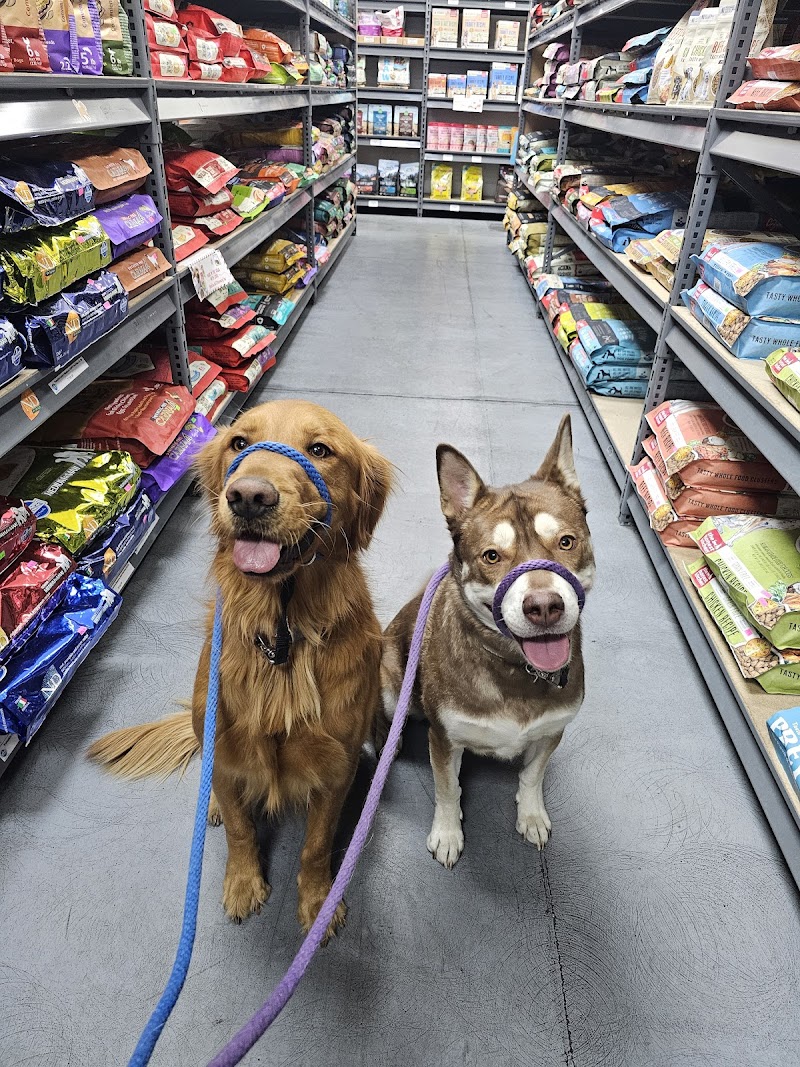 Kat the Dog Lady photo 2