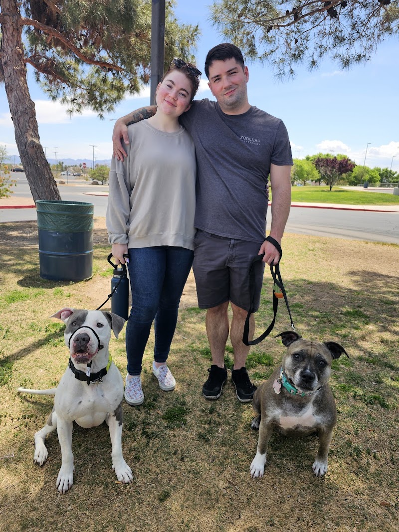 Kat the Dog Lady photo 3