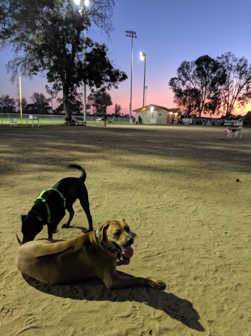 Kearny Mesa Dog Park photo 2