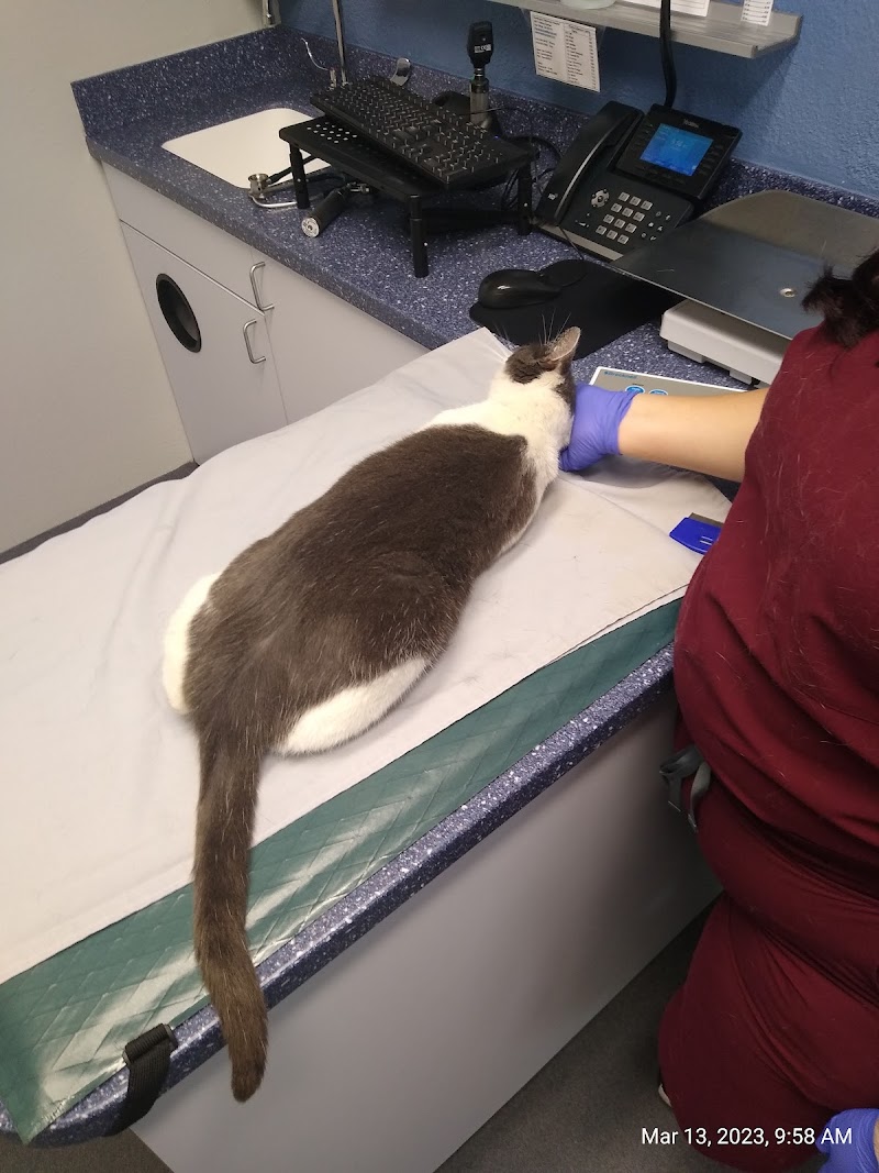 Kensington Veterinary Hospital