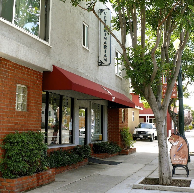 Kensington Veterinary Hospital photo 3