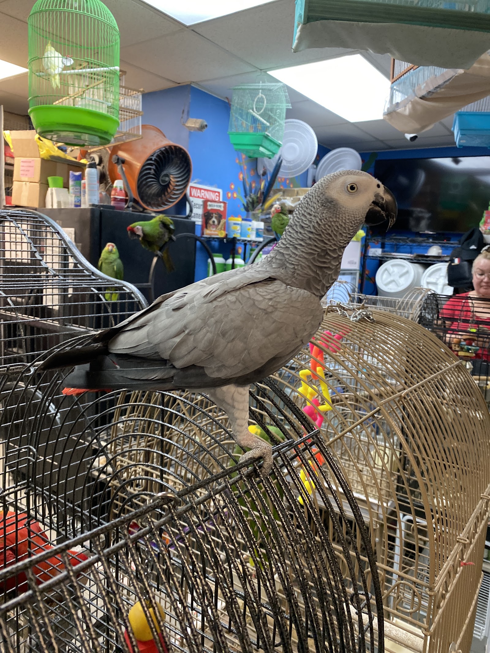 La Jungla Pet Shop
