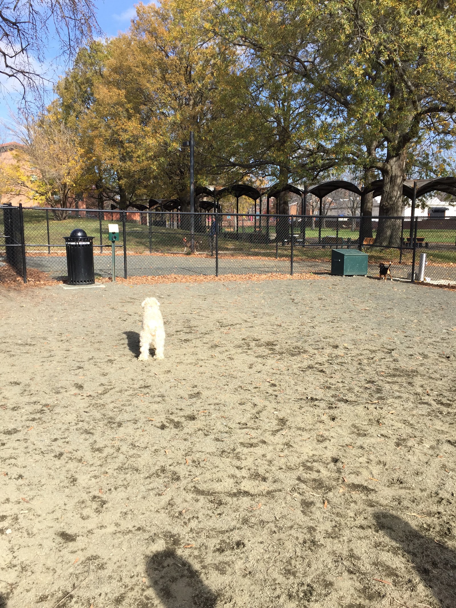 Lansburgh Dog Park