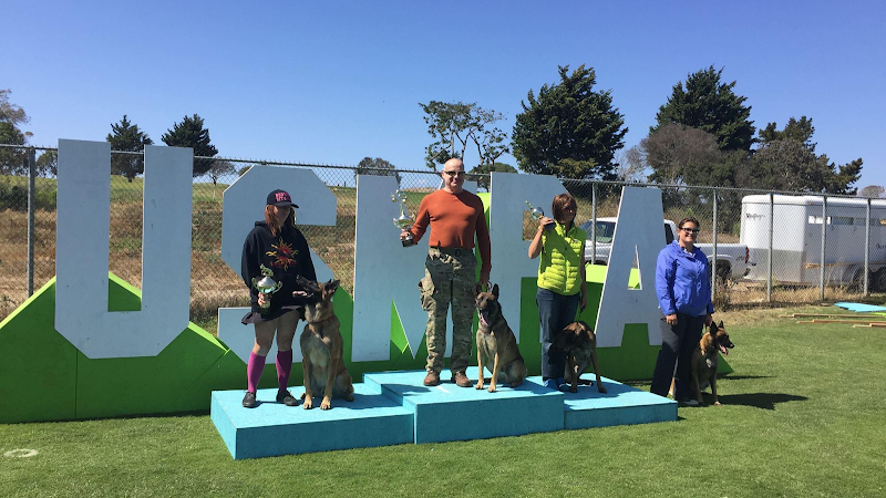 LAS VEGAS K9 TRAINING