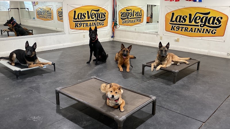 LAS VEGAS K9 TRAINING photo 2