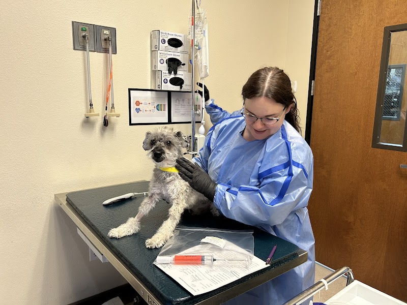 Las Vegas Veterinary Specialty Center photo 3
