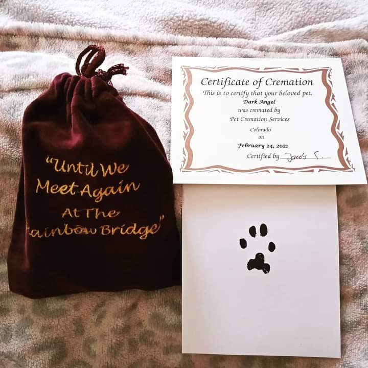 Lasting Paws Pet Memorial Services photo 2