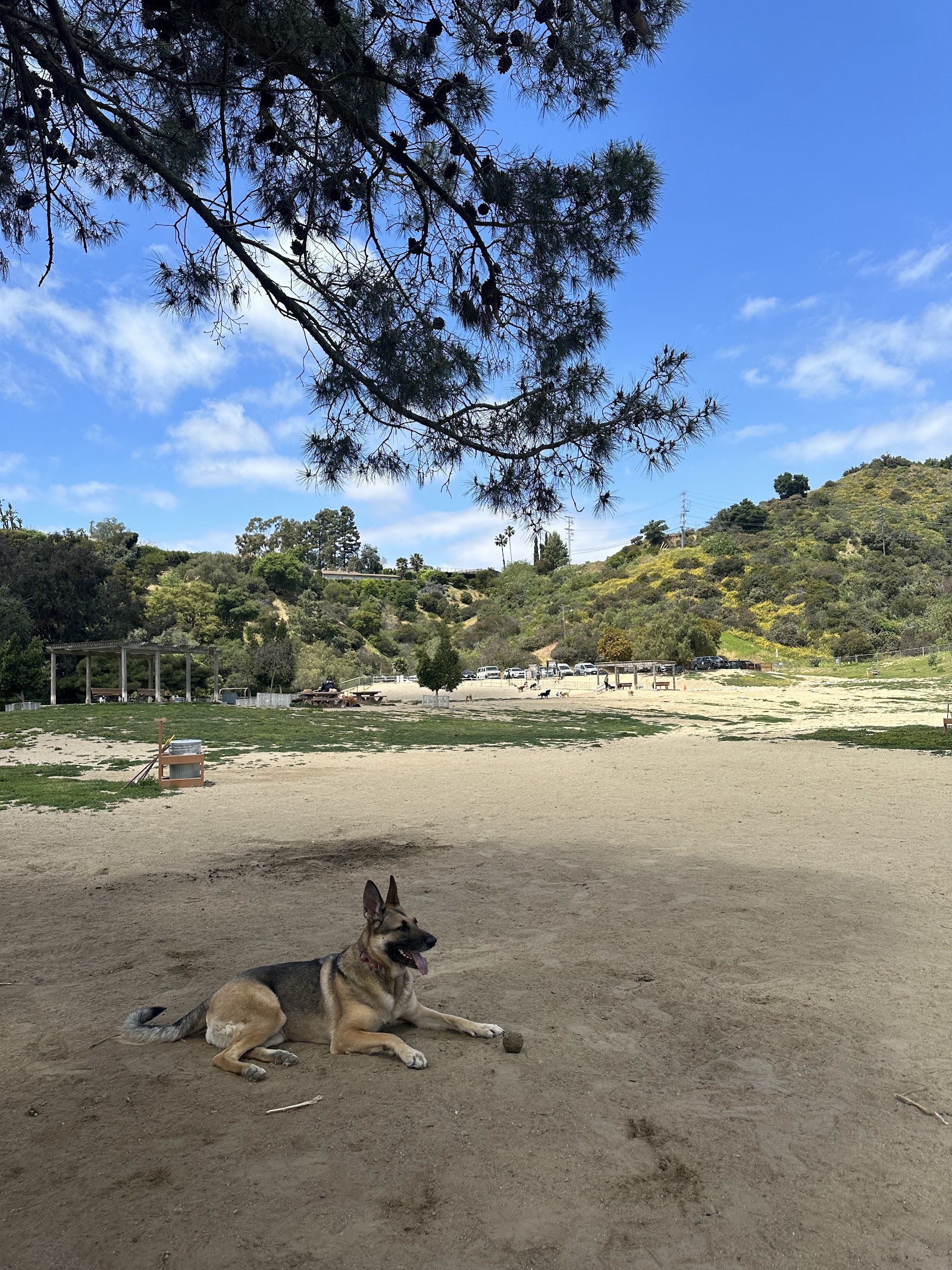 Laurel Canyon Dog Park