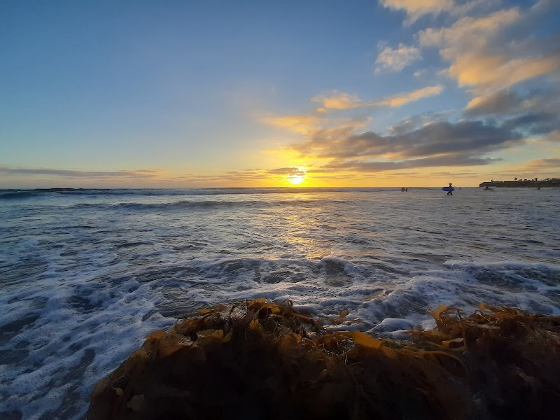 Law Street Beach photo 3