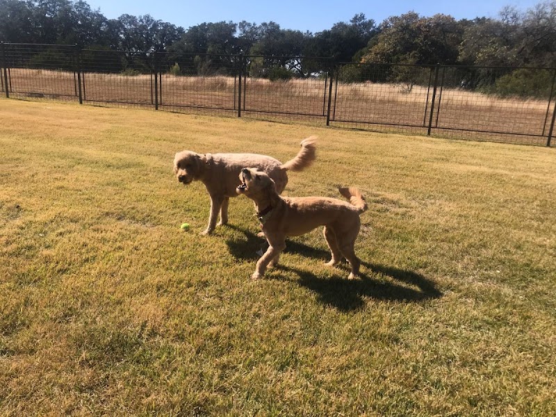 LEAH'S PET SITTING photo 3