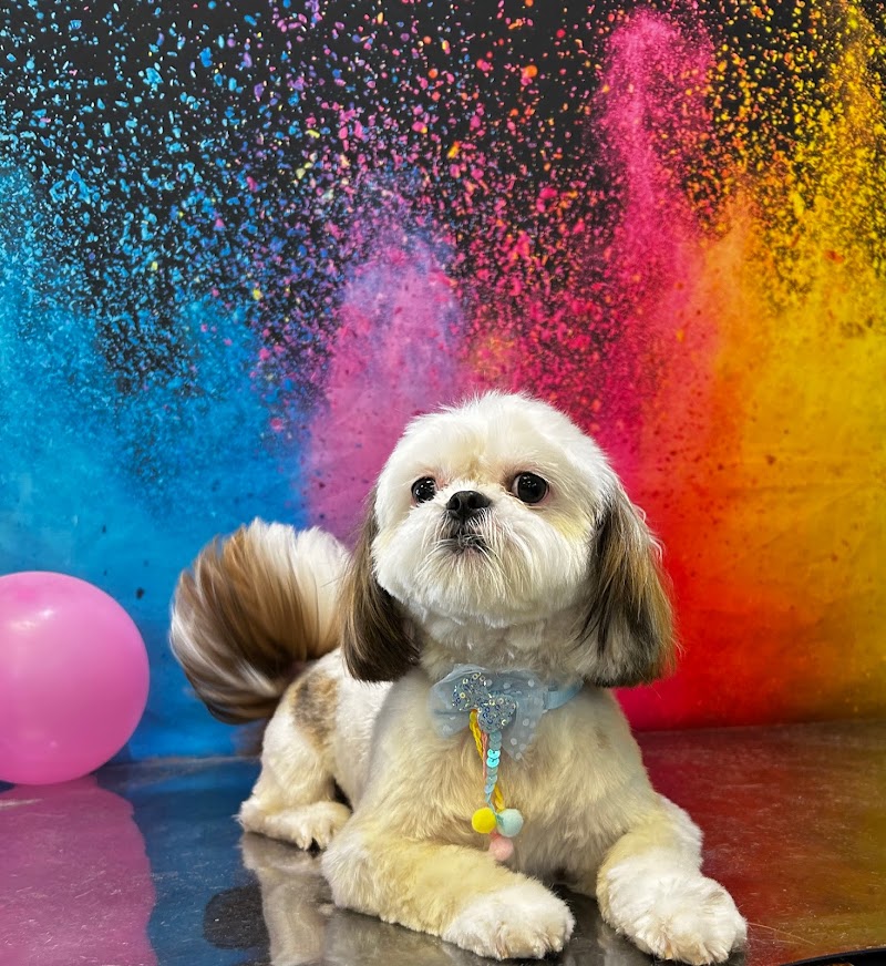 Leashes Pet Salon photo 3