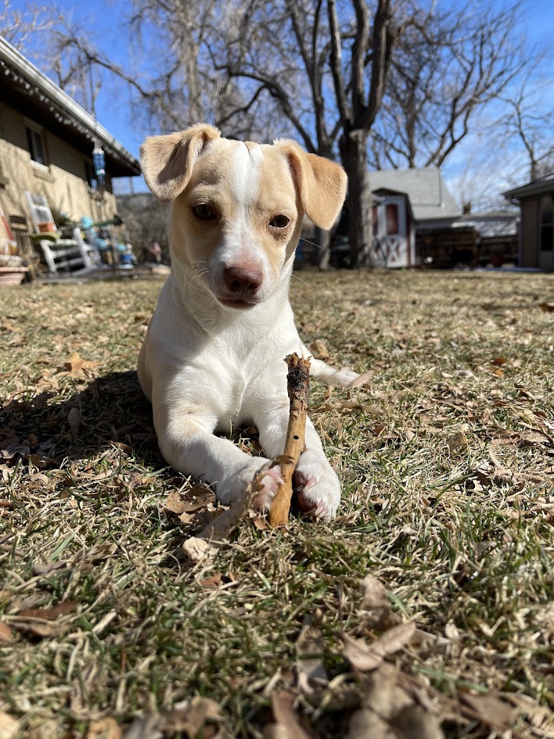 Life Is Better Rescue photo 2