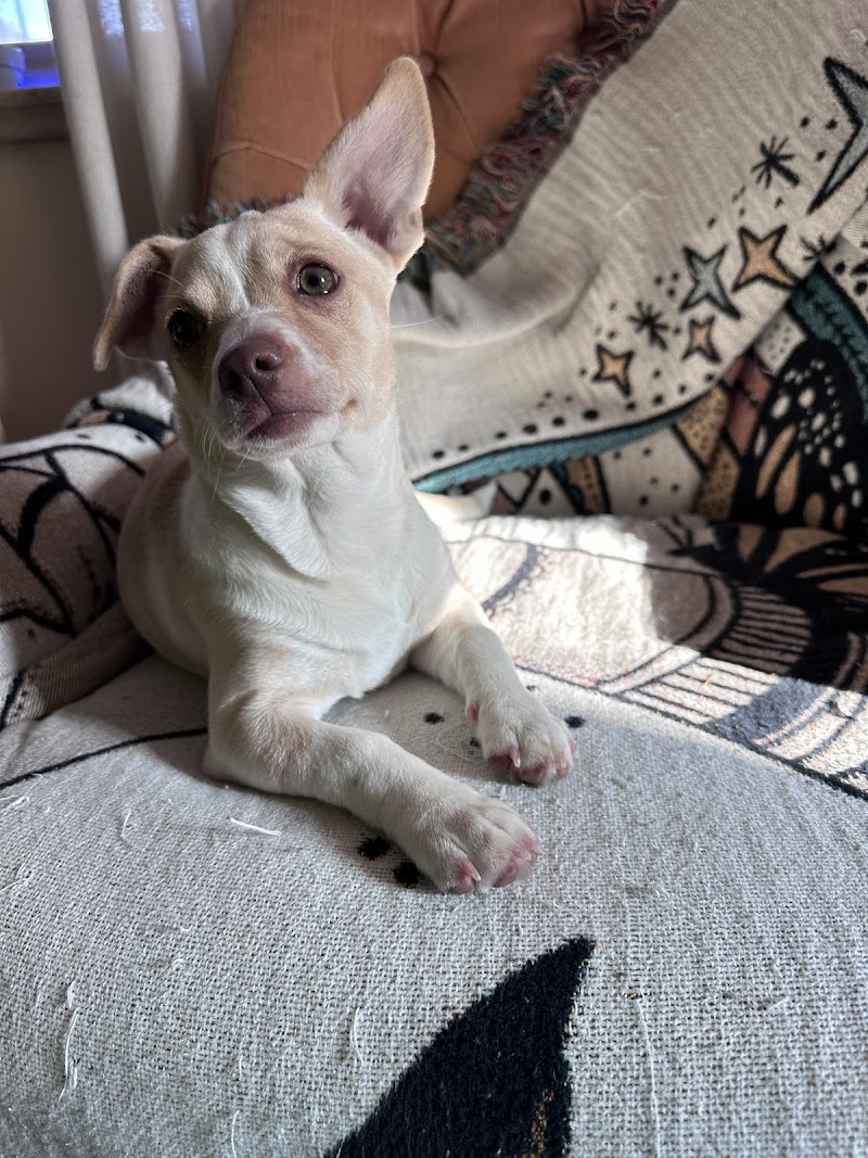 Life Is Better Rescue photo 3