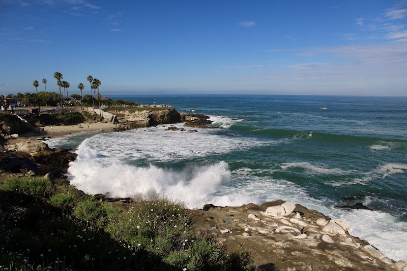 Lifeguard La Jolla Cove