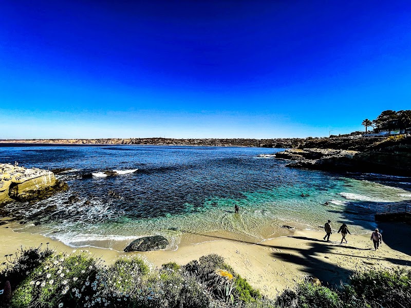 Lifeguard La Jolla Cove photo 3