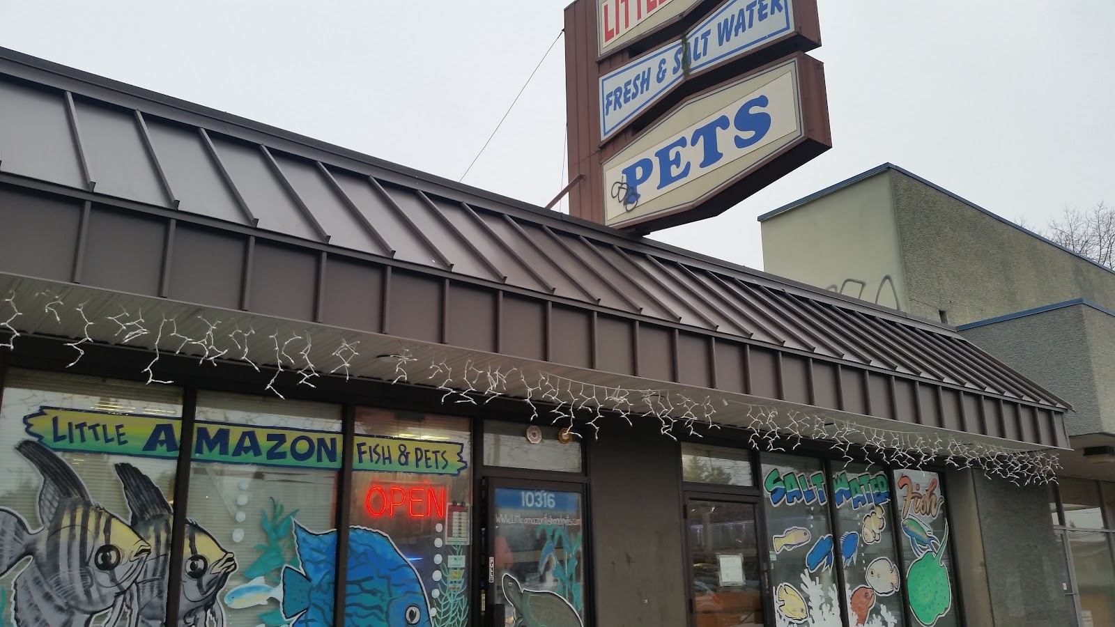 Little Amazon Fish & Pet