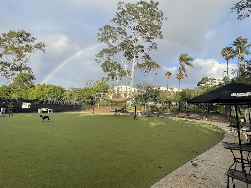 Little Italy Dog Park