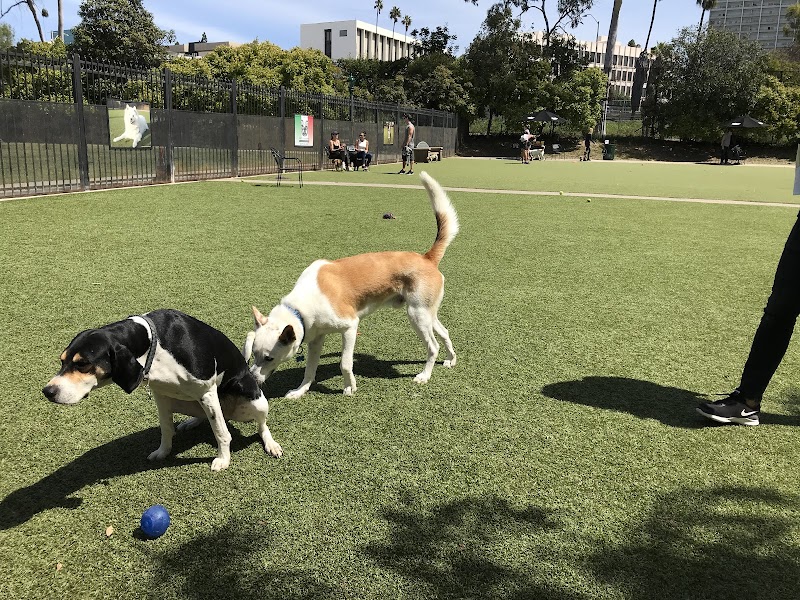 Little Italy Dog Park photo 2