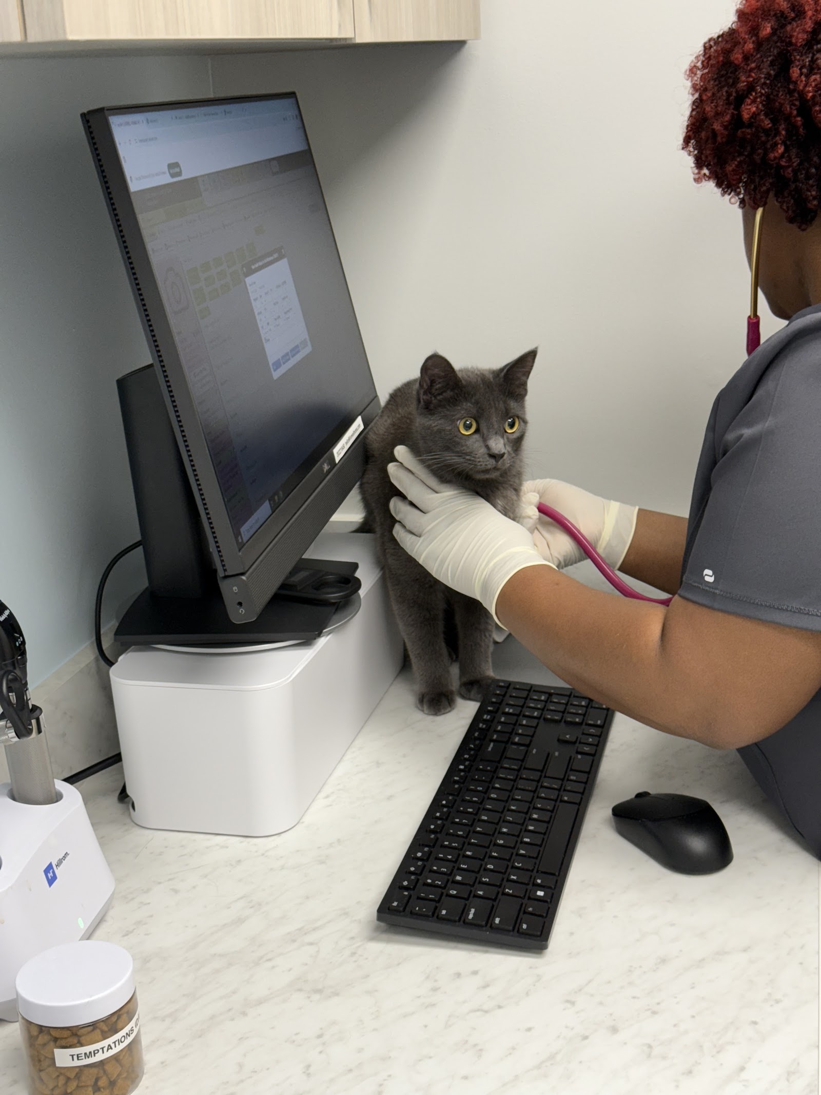 Livewell Animal Hospital of NoMa