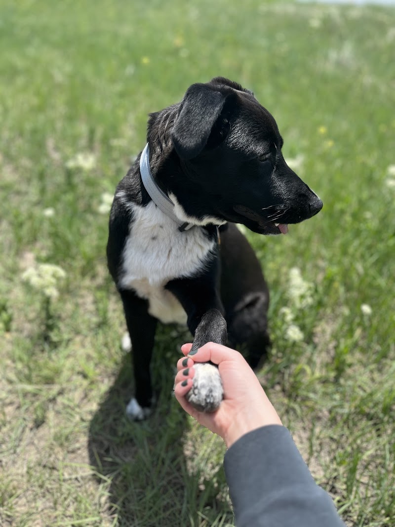 Lola's Rescue photo 3