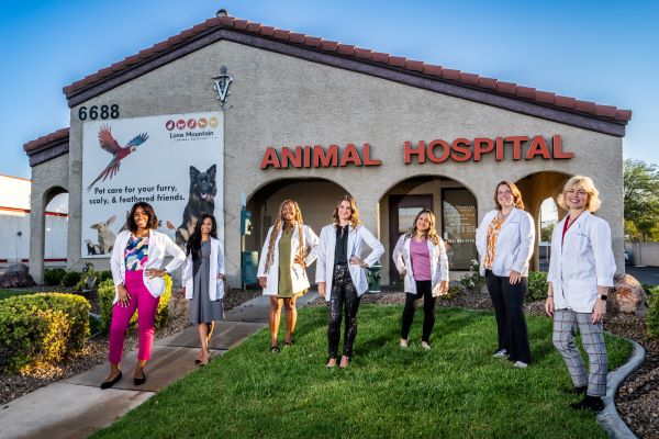 Lone Mountain Animal Hospital