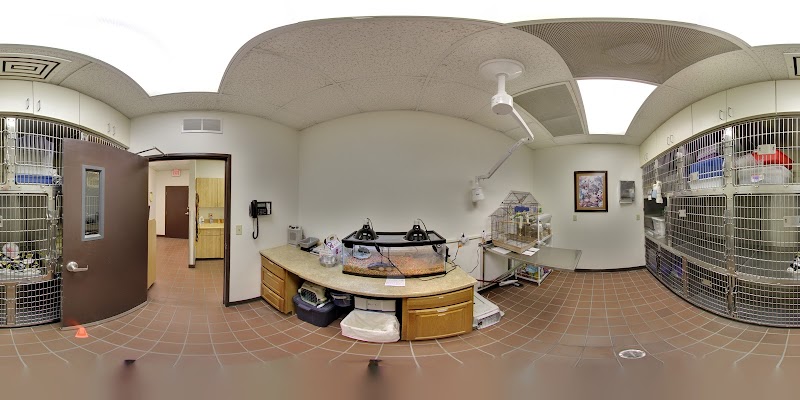 Lone Mountain Animal Hospital photo 2