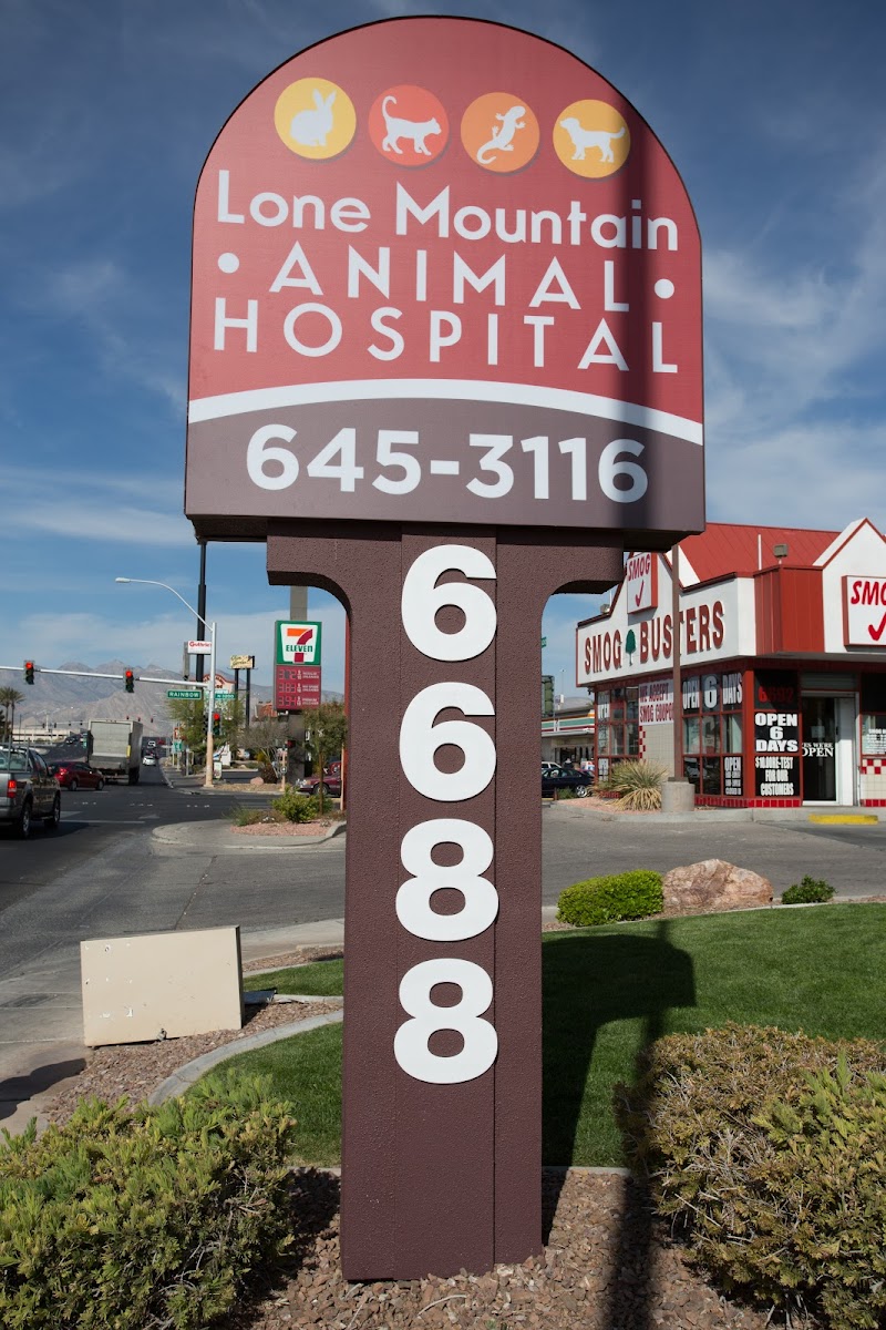Lone Mountain Animal Hospital photo 3