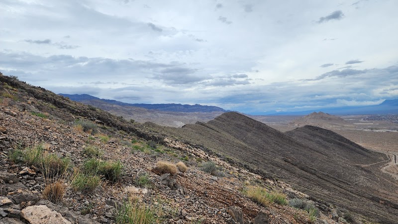 Lone Mountain Park photo 2