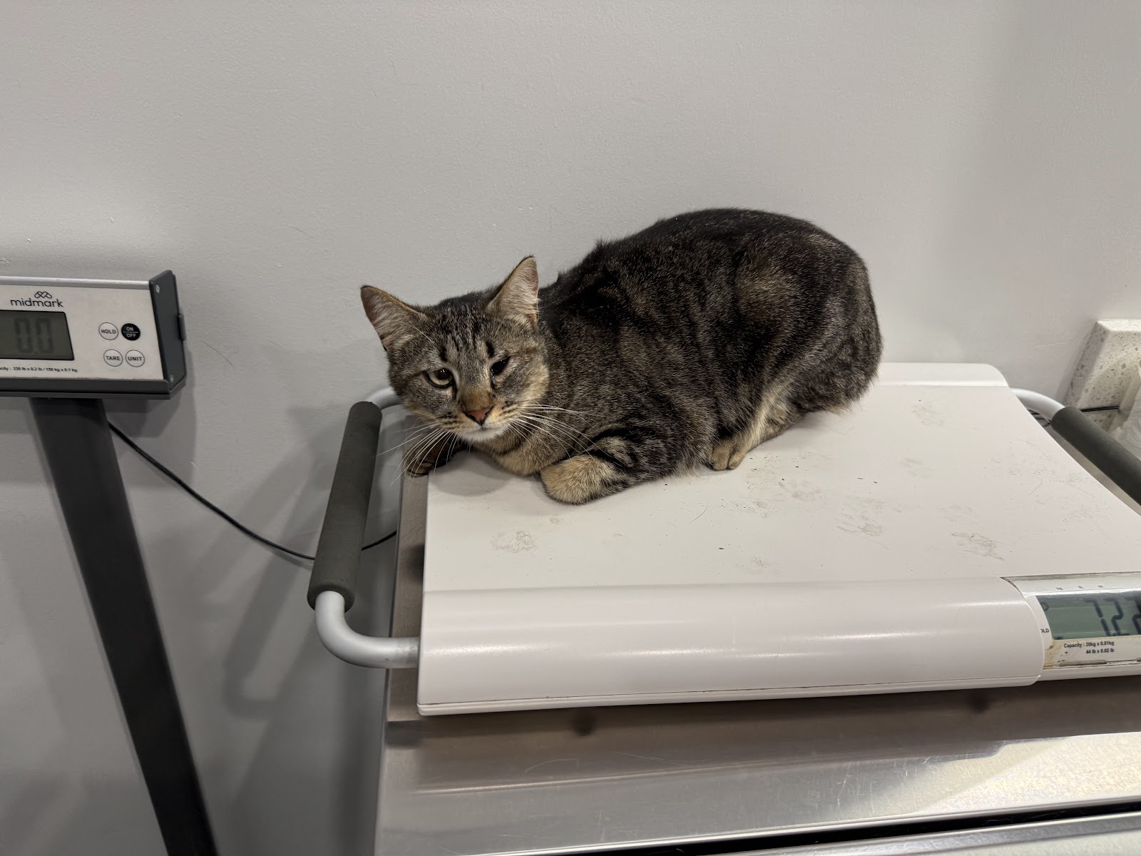 Los Angeles Veterinary Center