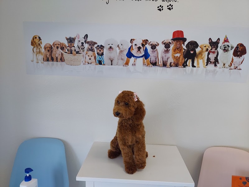Lovely Dog Grooming & Daycare photo 2