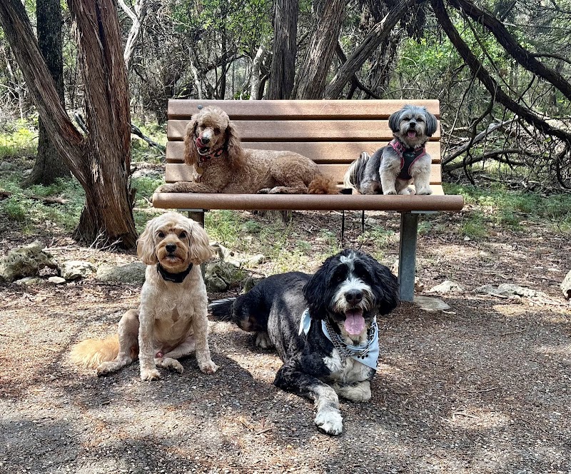 LOVING PET CARE photo 2