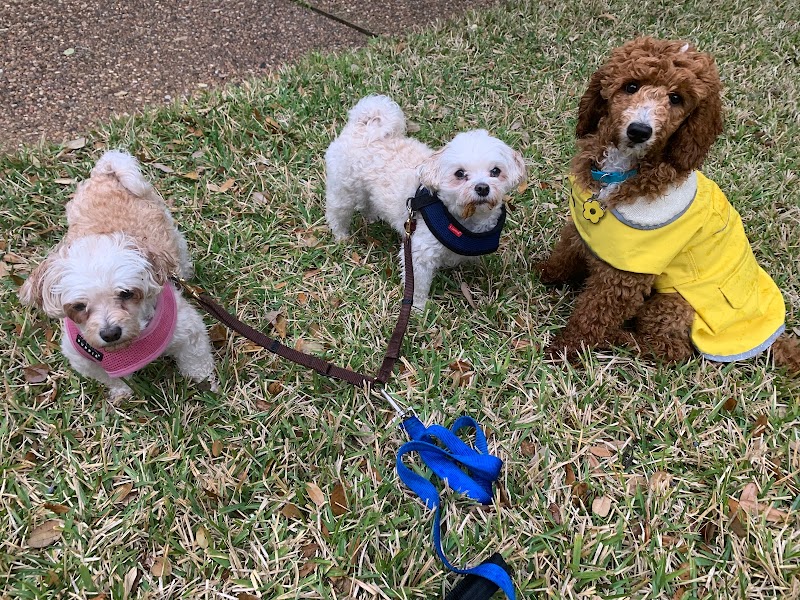 LOVING PET CARE photo 3