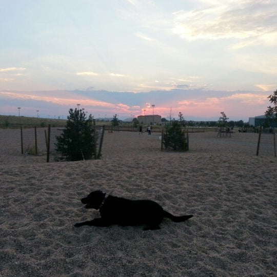 Lowry Dog Park photo 2