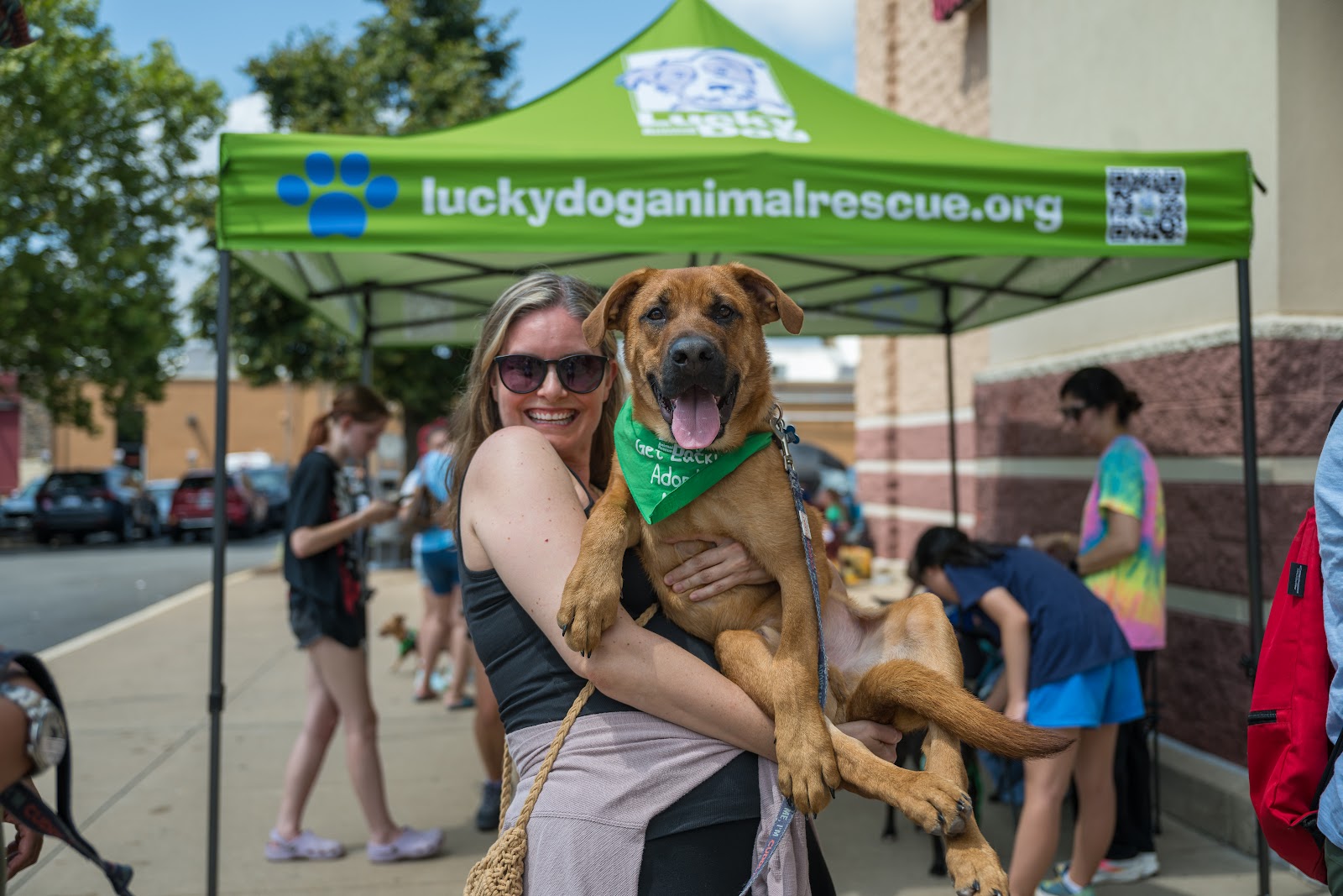 Lucky Dog Animal Rescue