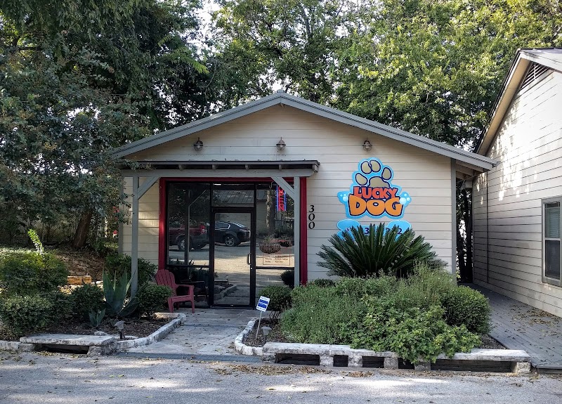 Lucky Dog Grooming photo 3