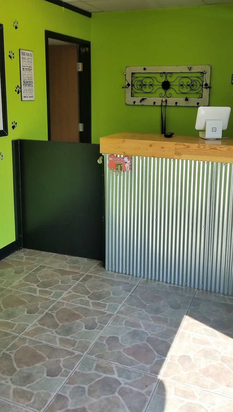 Lucky Dog Grooming photo 3