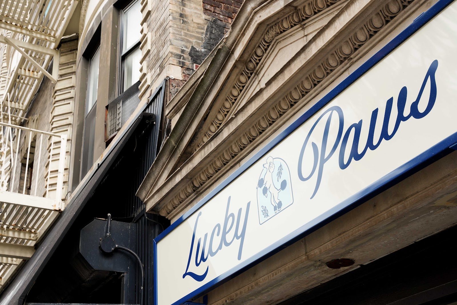 Lucky Paws Pet Grooming (Under New Ownership)
