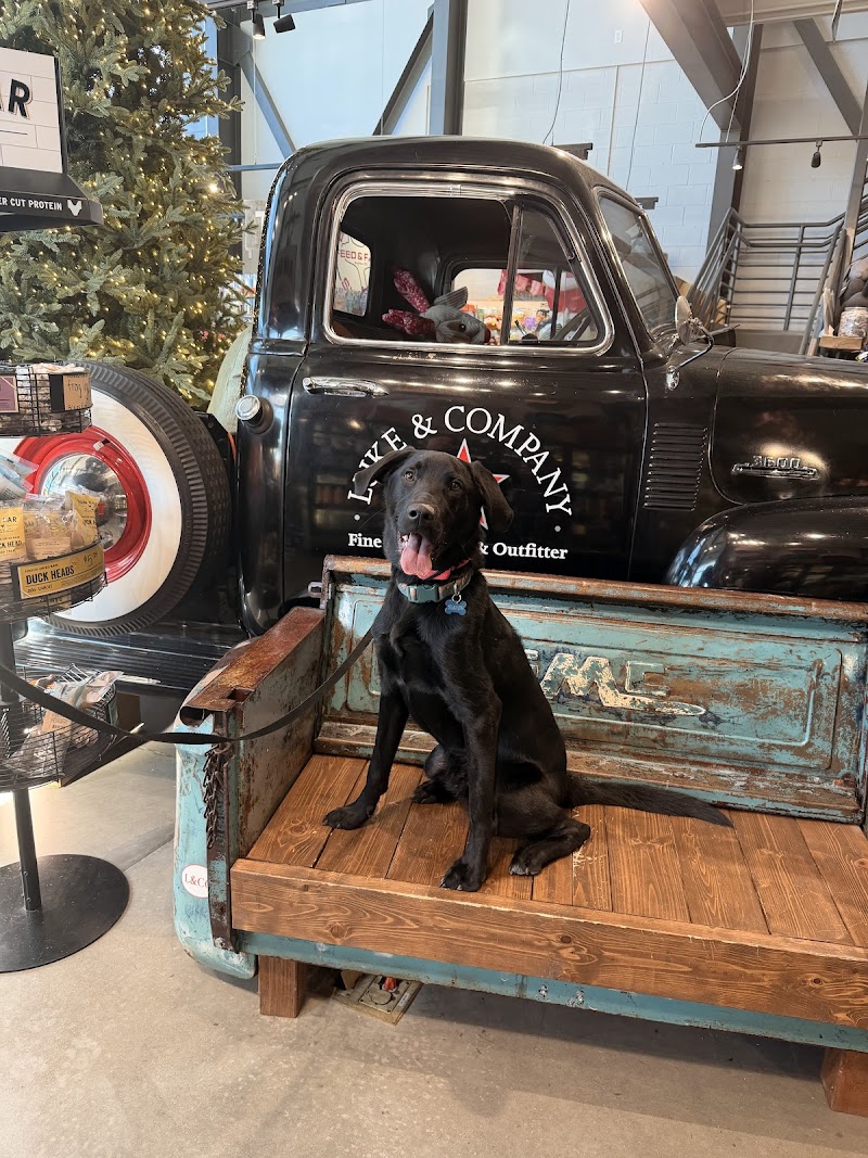 Luke & Company Fine Pet Supply & Outfitter photo 2