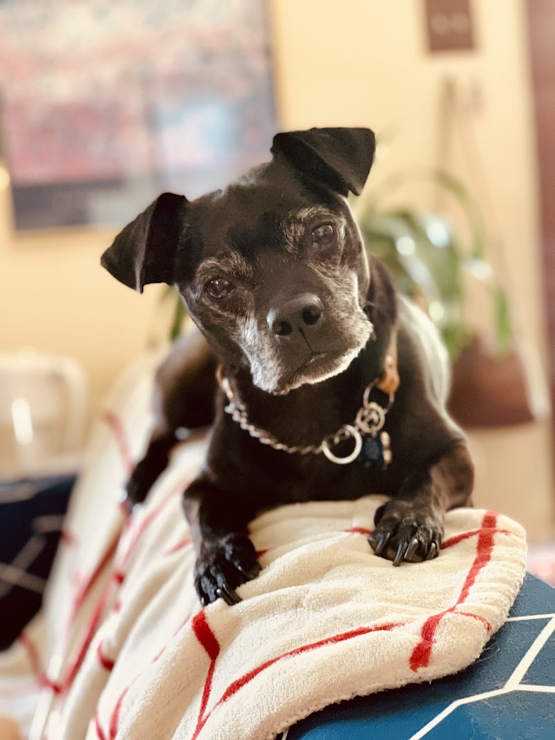 Luke & Company Fine Pet Supply & Outfitter photo 3