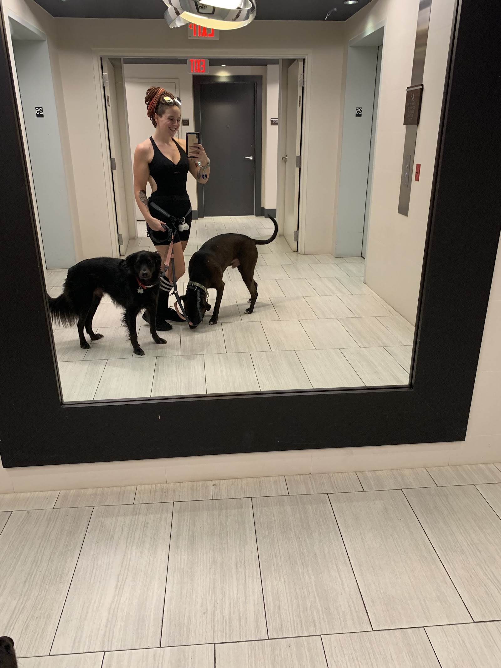 Lux Leashes - Dog Sitting, Walking & Boarding