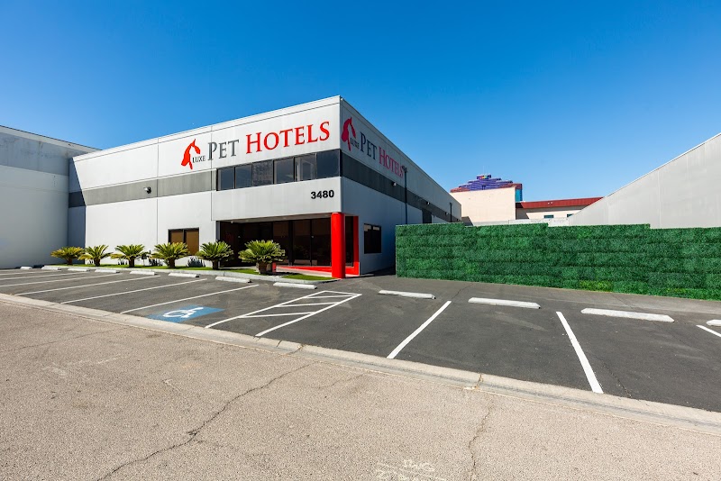 Luxe Pet Hotels photo 2