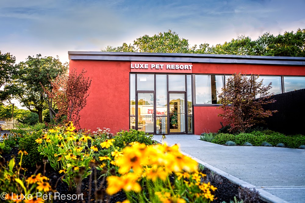 Luxe Pet Resort