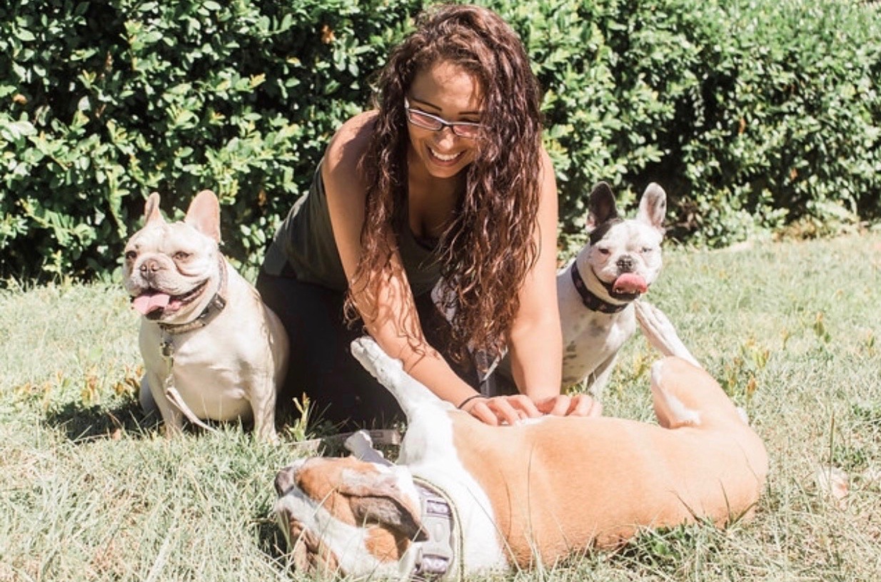 LUXURY WALKS - Tampa Pet Walking And Pet Sitting Services