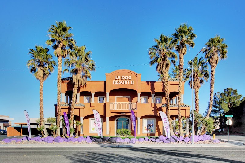 LV Dog Resort II photo 2