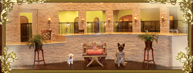 LV (Las Vegas) Dog Resort